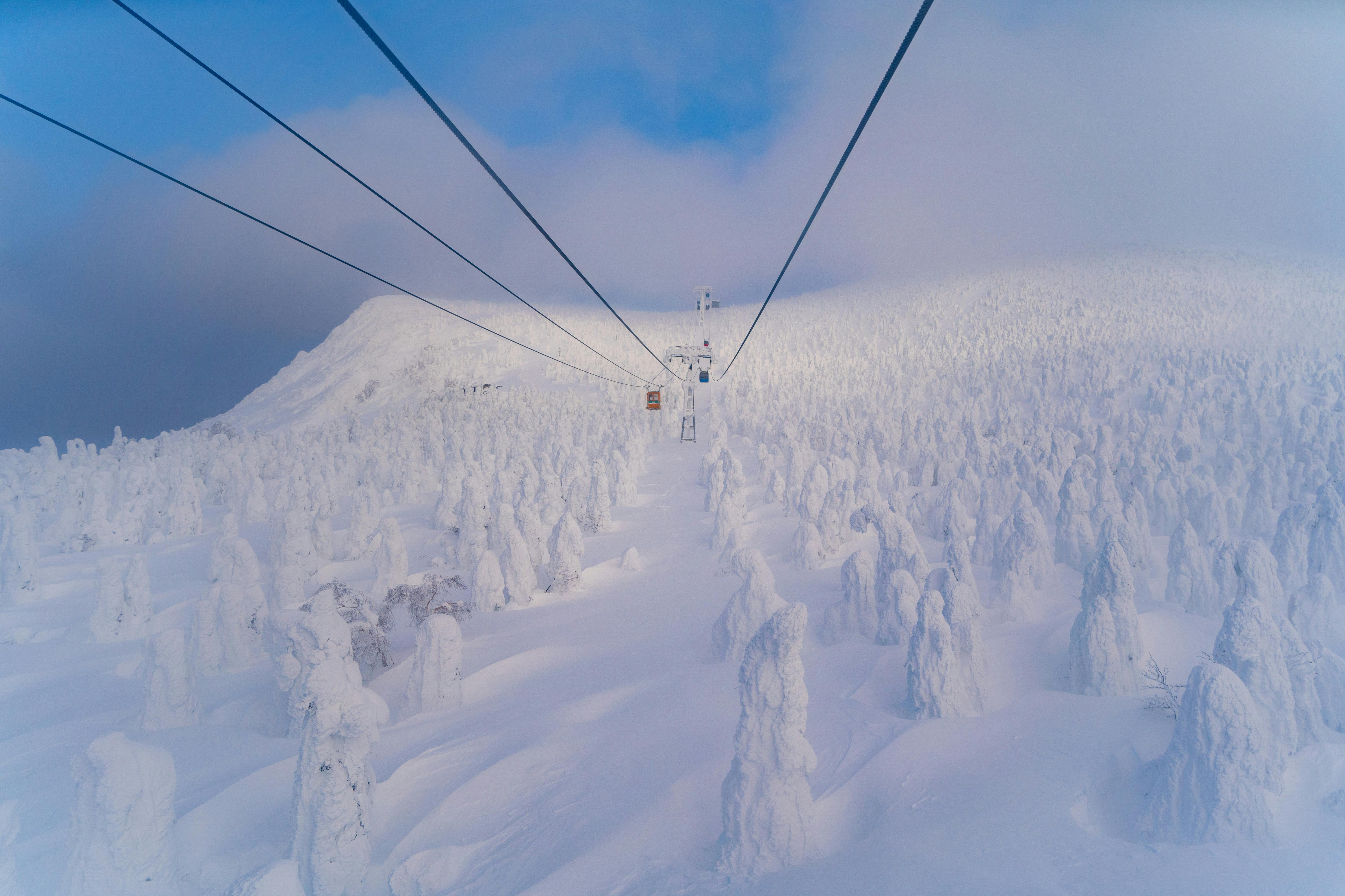 Chef de Partie / Senior CDP - An Dining, Ki Niseko, Japan (Year-Round) 🇯🇵 — Niseko, Japan