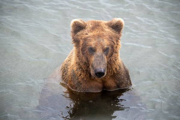 π» Executive Head Chef β Floating Wilderness Lodge, Knight Inlet, BC β Knight Inlet, British Columbia (floatplane access from Campbell River), Canada