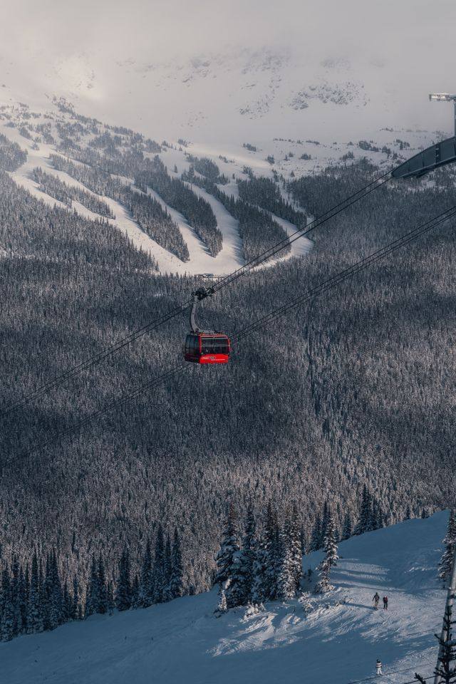 🎿 Advanced Cook — Whistler Blackcomb's On-Mountain Kitchens, Winter 26/27 — Whistler, BC, Canada