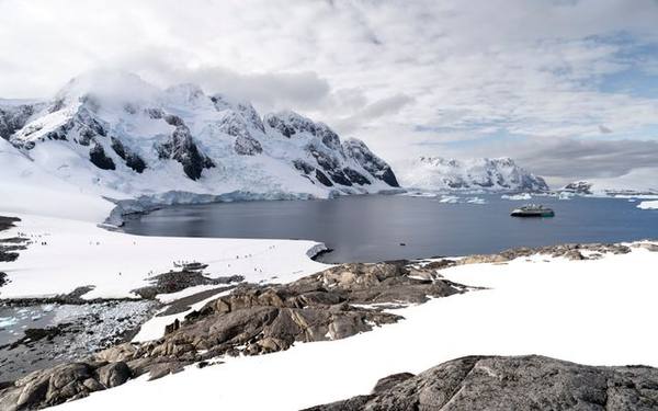 🧊 Chef & Senior Chef Wanted — Australia's Antarctic Research Stations — Casey, Davis or Macquarie Island Stations (relief postings also cover Wilkins Aerodrome, supported from Casey), Antarctica (Australian Antarctic Territory)
