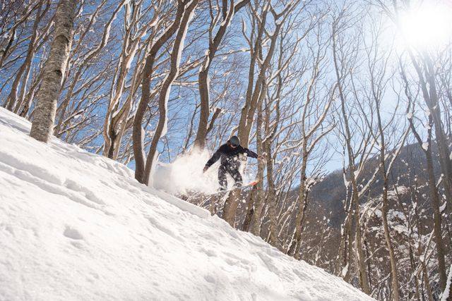 🍜 Chef, Cook & Kitchen Hand — Luke's Alpine Club, Setsu Niseko, Japan — Niseko, Hokkaido, Japan