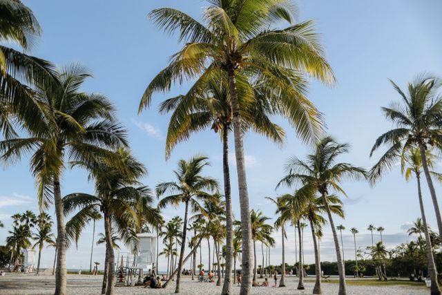 🏖️ Professional Traveling Chef — Southampton, Miami & NYC (UHNW Household) — Southampton, NY / Miami, FL / New York, NY (rotates across all three on the family's seasonal calendar), United States