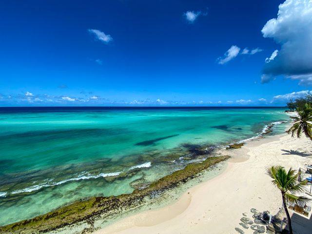 Chef de Cuisine – All-Day Brasserie at a Luxury Barbados Resort 🇧🇧 — Bridgetown, Barbados