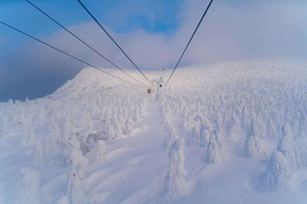 Chef de Partie / Senior CDP - An Dining, Ki Niseko, Japan (Year-Round) 🇯🇵 — Niseko, Japan