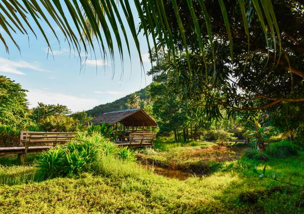 🌿 Jungle Kitchen Chef – Community Farm & Retreat — Caribbean Coast, Costa Rica