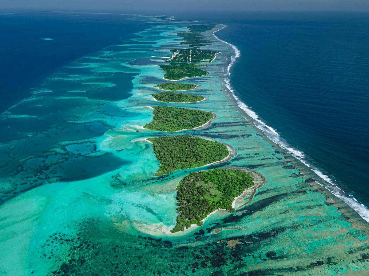 🌴 Experienced Chef/Cook – Poppys on the Lagoon (Vanuatu) — Port Vila, Vanuatu
