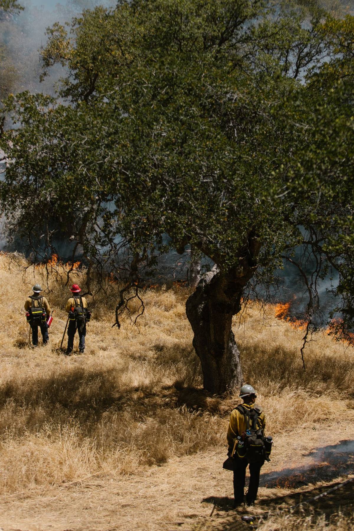 🔥 Kitchen Manager Wanted — Run Mobile Fire Camp Kitchens Across the Western U.S. — Salt Lake City, United States